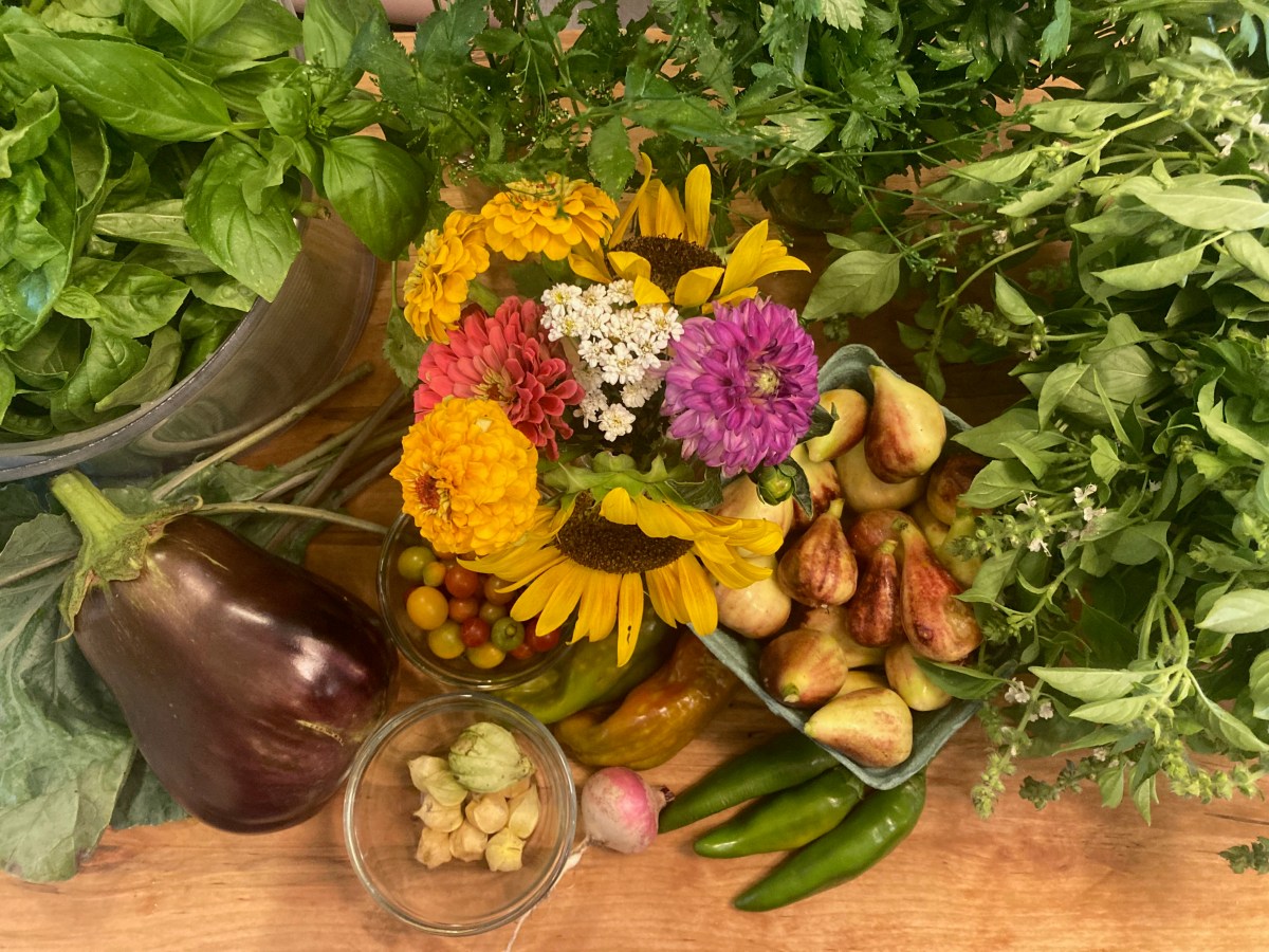 Boxing Day, August&nbsp;19