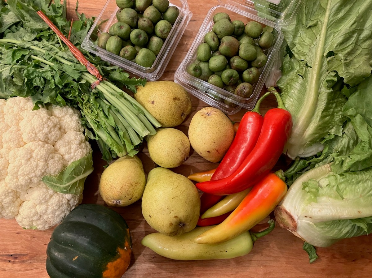 Boxing Day, September 30 & October&nbsp;7